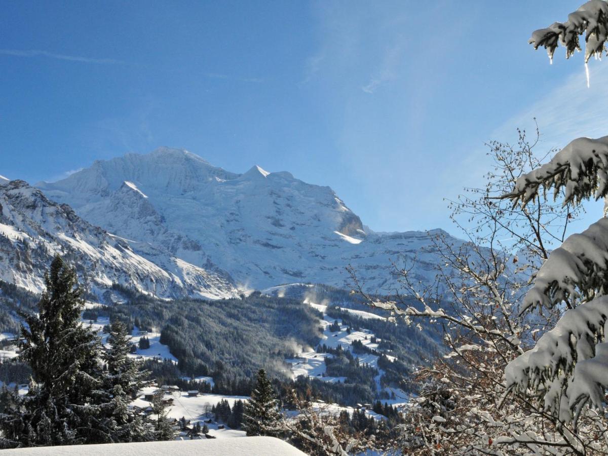 Apartment Rustica By Interhome Wengen Extérieur photo